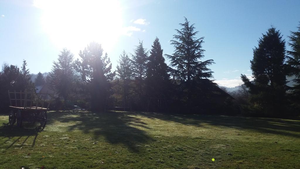 Gites De La Croisee Des Chemins - Piscine Chauffee - Spa, Hammam Et Sauna Izeaux Ruang foto